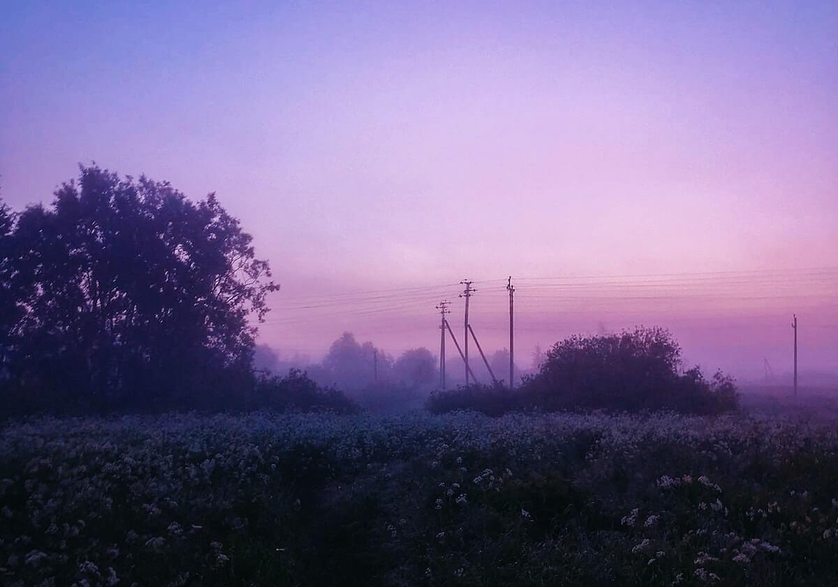 娱乐平台-现场画面！特朗普宣称：我们赢了，在第一个小时一切就结束了，但需要“完成最后的工作”